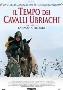 Il tempo dei cavalli ubriachi streaming