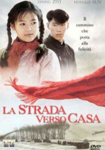 La strada verso casa streaming