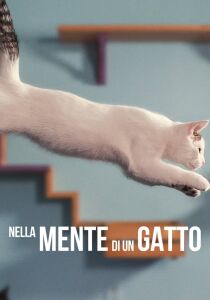 Nella mente di un gatto streaming